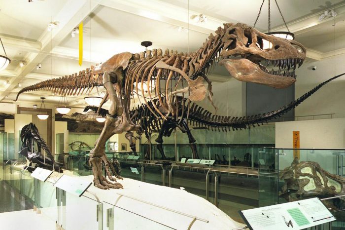 Mournac, Domaine de Mournac, Antugnac, South West France, Cathar, Pays Cathar, Swimming pool, Holiday, Vacance, Wine, Sun, France, Yoga, retreat, walking, painting, food, cheese, chambre d'hotes, Les Labadous, rennes le chateau, chilling, swimming, cycling, bicycle, meditation, relaxing, Esperanza, running, jogging