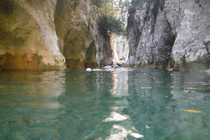 Mournac, Domaine de Mournac, Antugnac, South West France, Cathar, Pays Cathar, Swimming pool, Holiday, Vacance, Wine, Sun, France, Yoga, retreat, walking, painting, food, cheese, chambre d'hotes, Les Labadous, rennes le chateau, chilling, swimming, cycling, bicycle, meditation, relaxing, running, jogging