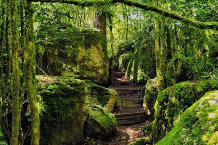 Mournac, Domaine de Mournac, Antugnac, South West France, Cathar, Pays Cathar, Swimming pool, Holiday, Vacance, Wine, Sun, France, Yoga, retreat, walking, painting, food, cheese, chambre d'hotes, Les Labadous, rennes le chateau, chilling, swimming, cycling, bicycle, Nebias, meditation, relaxing, running, jogging